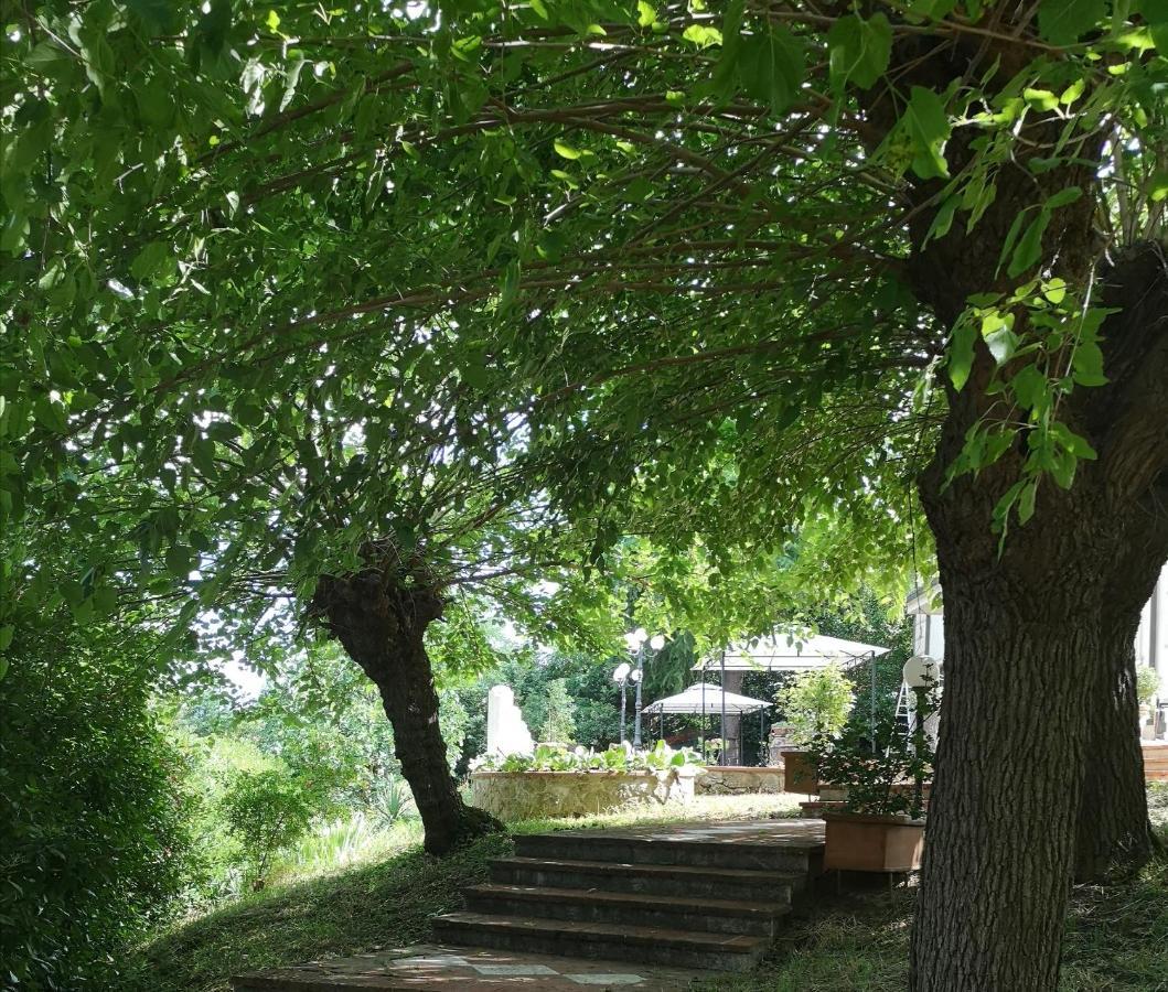 سينالونغا Maison Tuscany Bed&Breakfast المظهر الخارجي الصورة